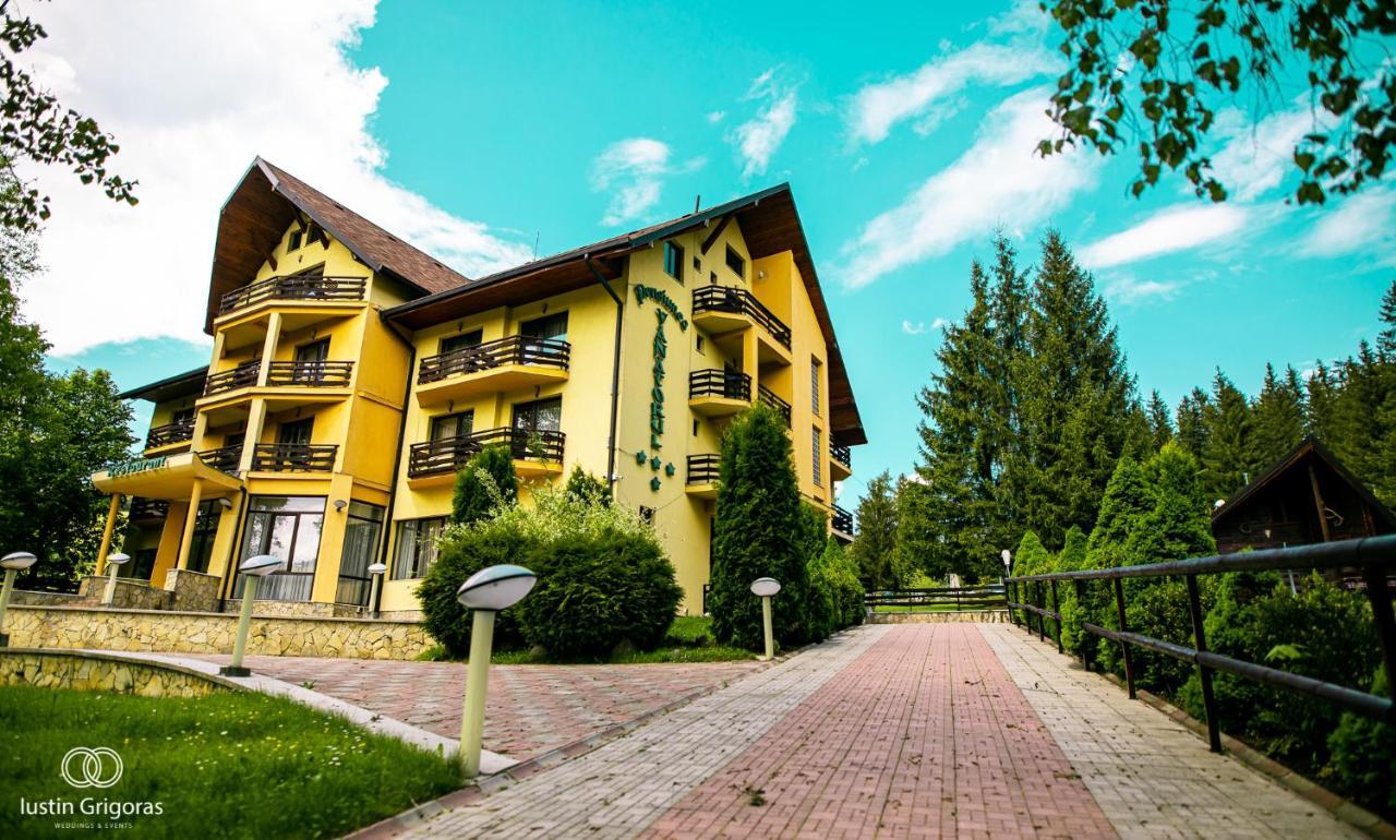 Pensiunea Vanatorul Ватра-Дорней Экстерьер фото